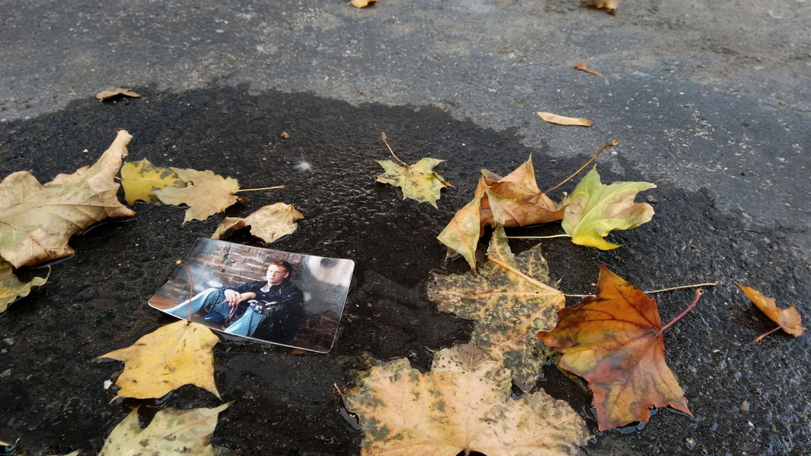 A gallery940 piece by Cassia Kuhn